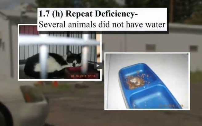 Screengrab from the News12 website.