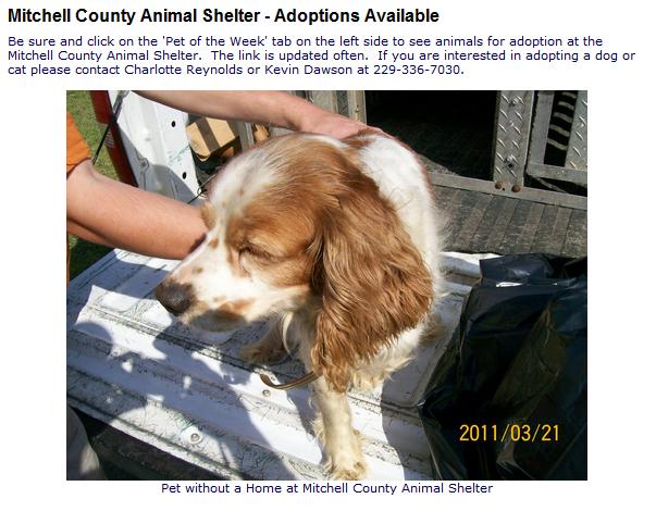 Screengrab from Mitchell Co website on September 9, 2015.