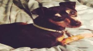 Manson, as pictured on the CBS 6 website.