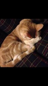 Photo from the Justice for Moe page on Facebook.