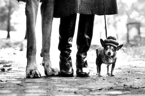 ElliottErwitt