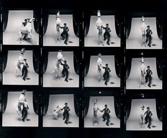 The contact sheet for the Diamond Dogs album cover shoot