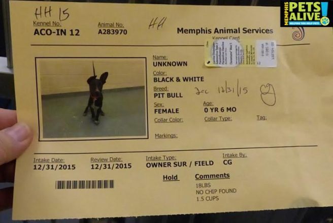 mpa cage card 283970