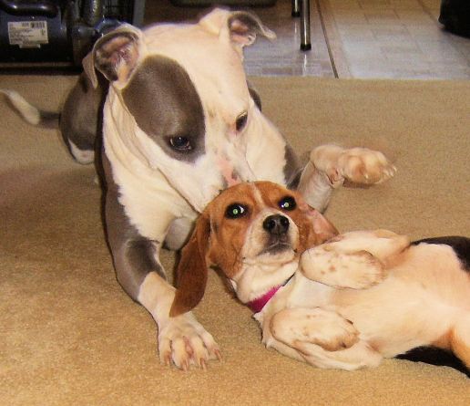 022816jade new friend