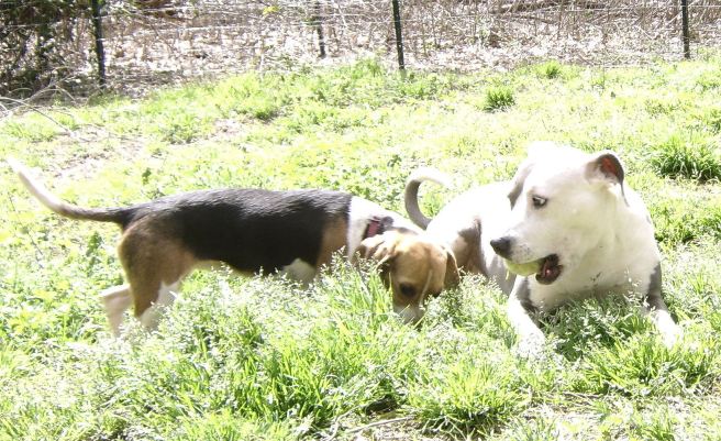 031316jadenewt stalk