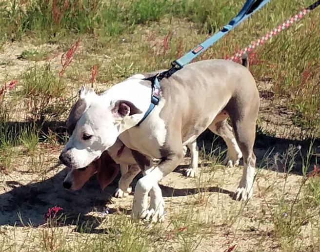 20160409meandmyshadow