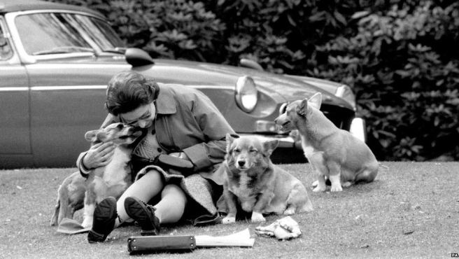 queen with corgis