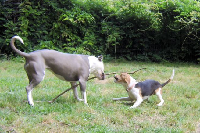 050116 jadenewtstick