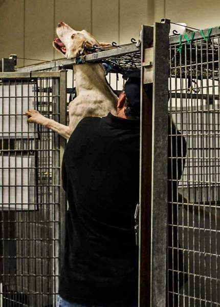 peggy sue montgomery co