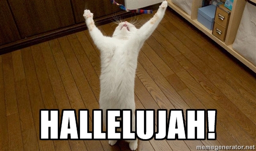 hallelujahcat