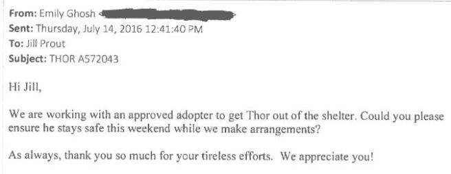 thor-rescue-email