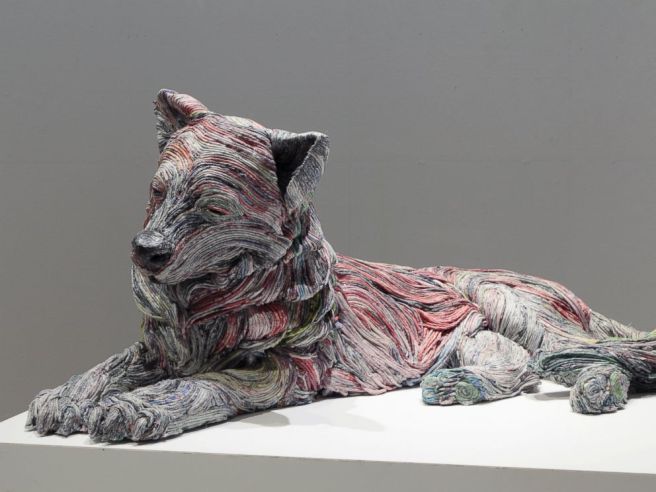 chie-hitotsuyama-red-wolf