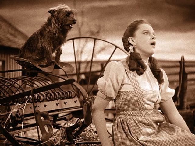 toto-and-dorothy
