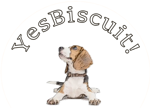 YesBiscuit!