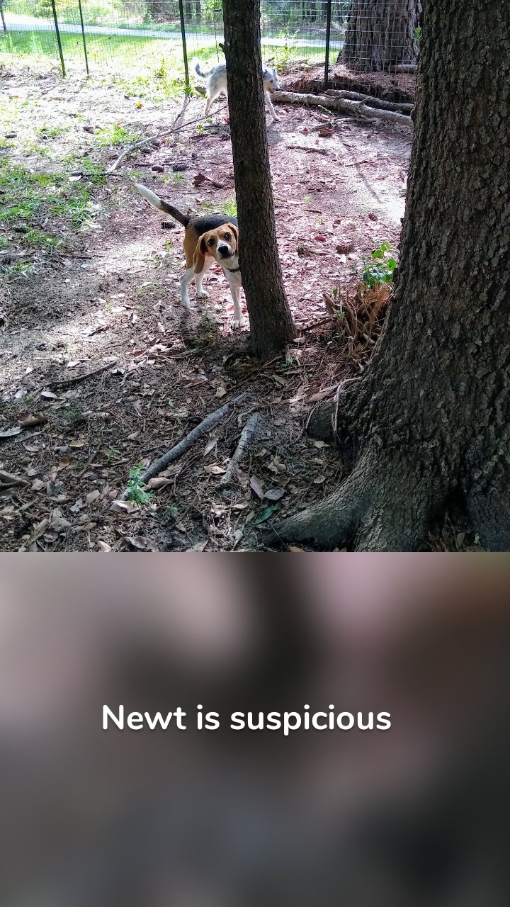 Newt is suspicious